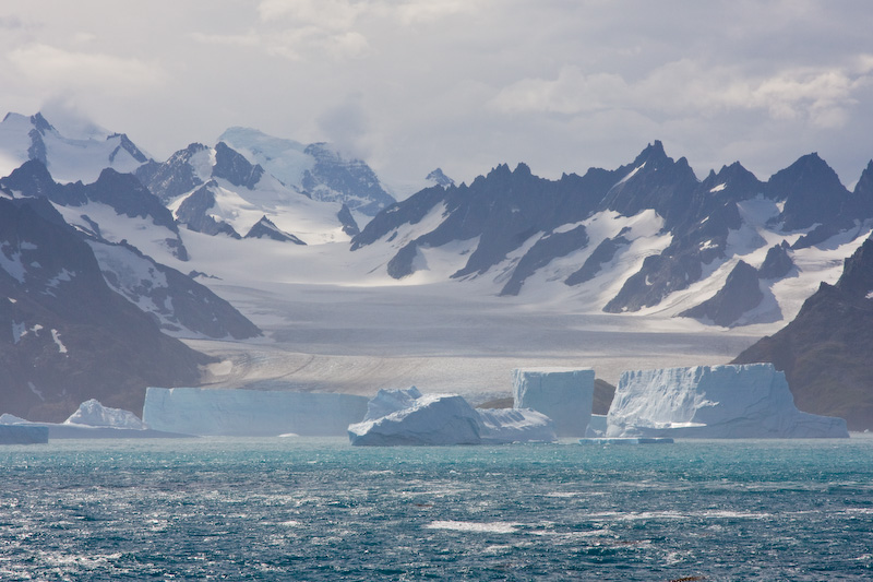 Glacier And Icebergs